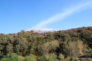 Grotta Di Salvo